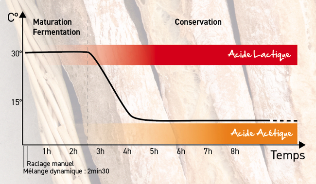 fermenteur à levain jac